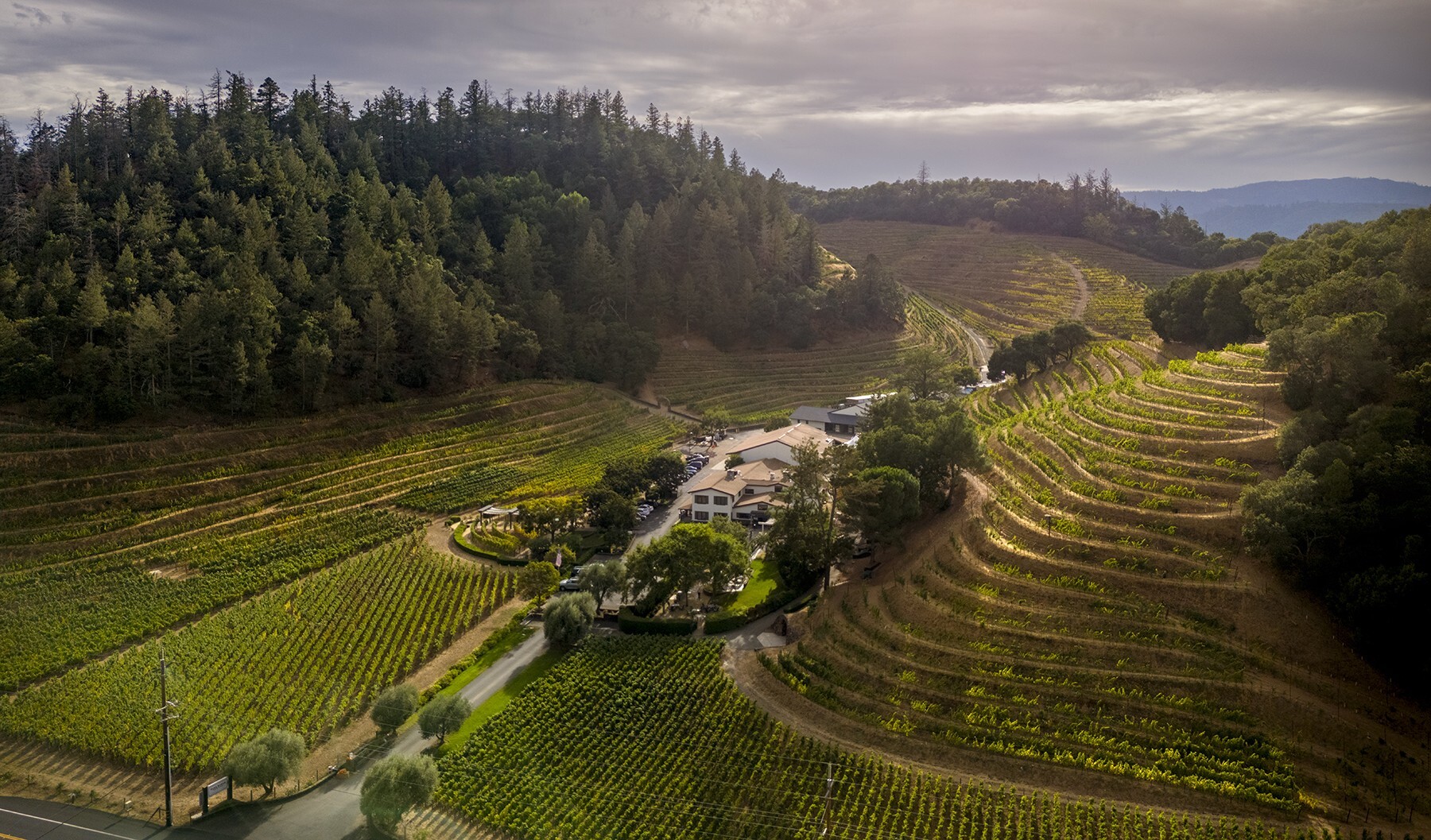 Aerial view of a vineyard with neatly planted grapevines on rolling hills, a cluster of buildings in the center, surrounded by trees and dense forest under a cloudy sky.