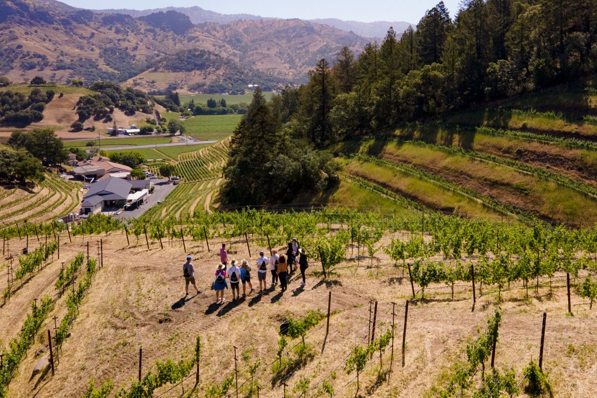 A group of people stands among grapevines on a hillside vineyard. The landscape includes a patchwork of fields, a building, and distant hills under a clear sky.
