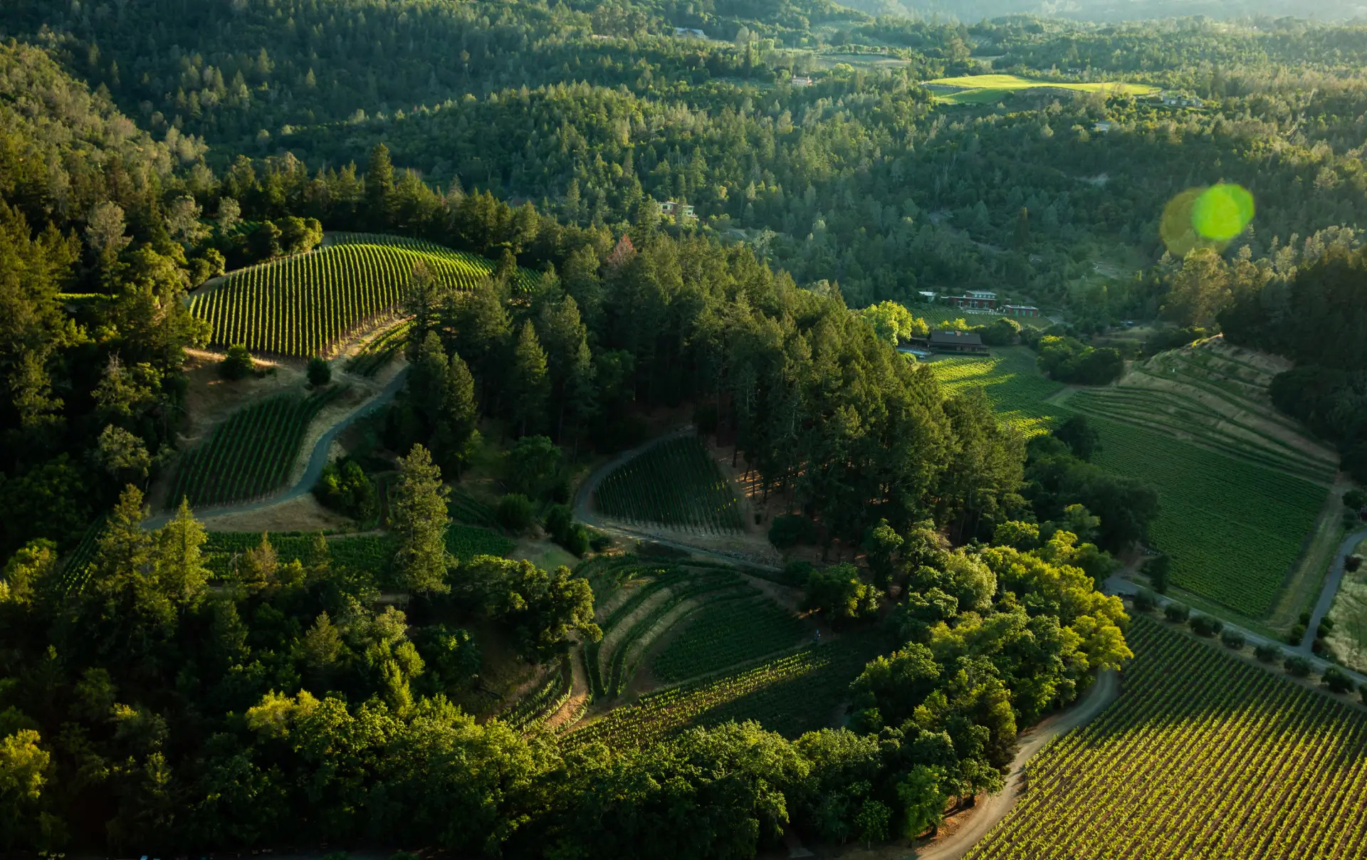 Pine Ridge Vineyards