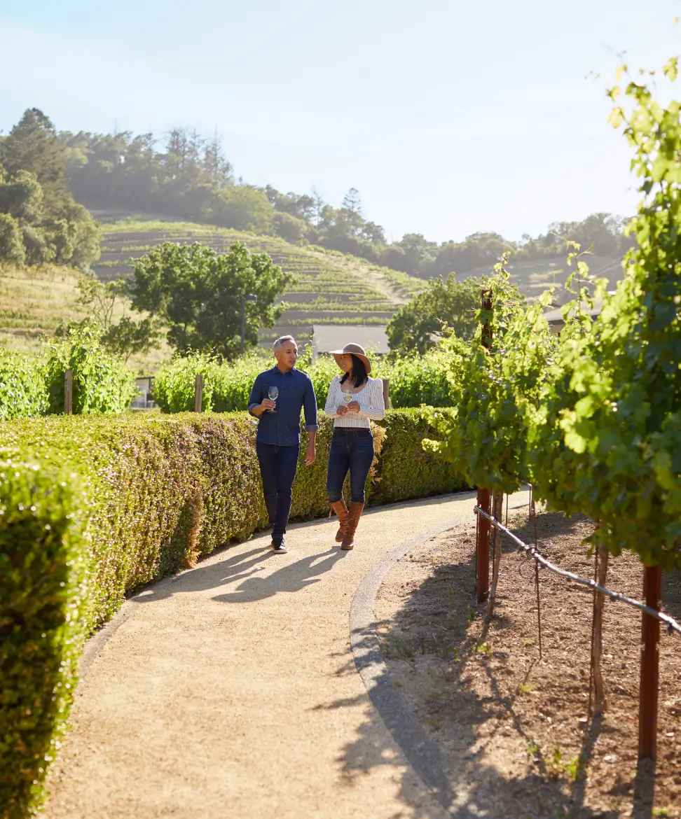 Explorer’s Tasting: A Vineyard to Cave Experience