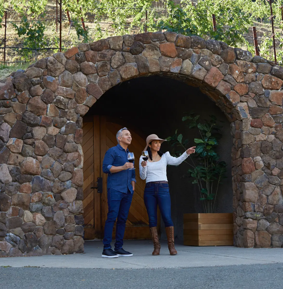 Your Napa Valley Wine Experience
