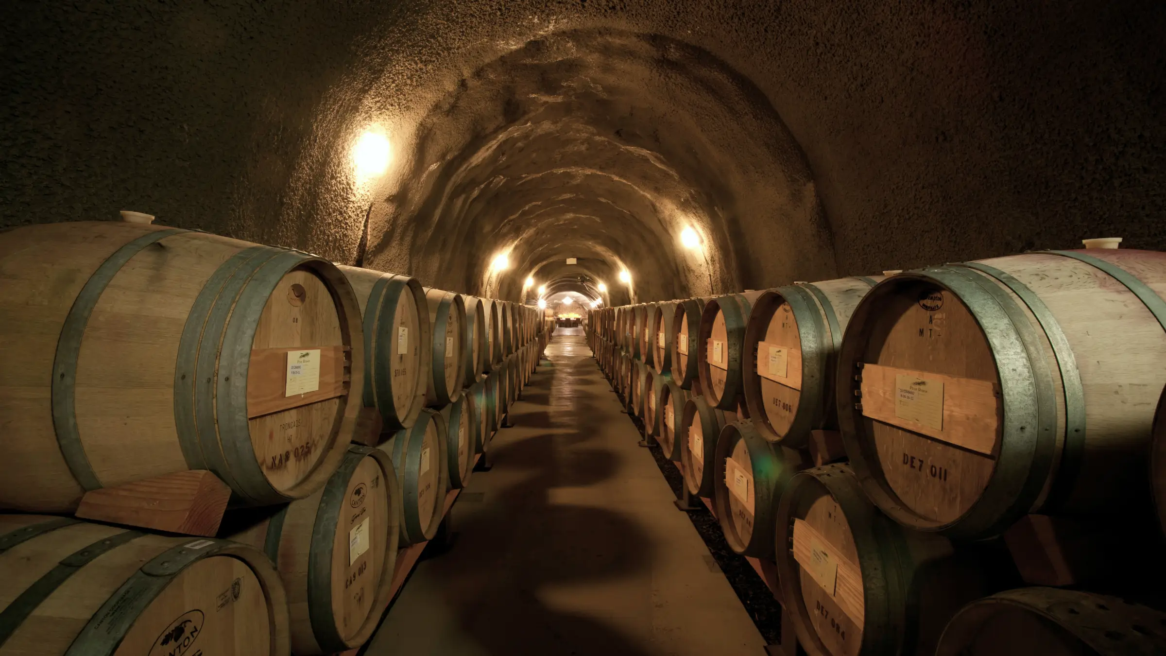 Winemaking Cellar