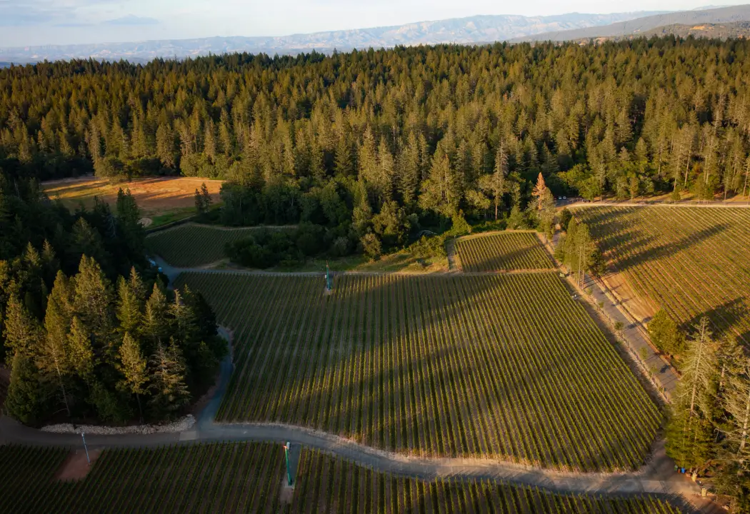 Howell Mountain Appellation