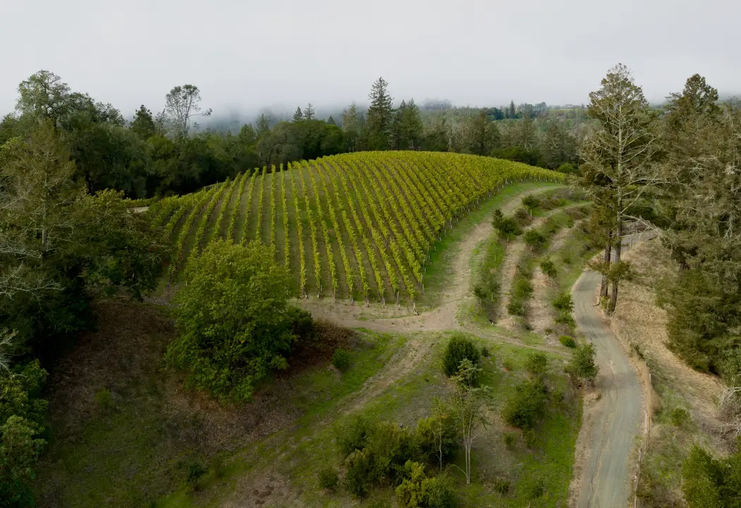 Rutherford Appellation