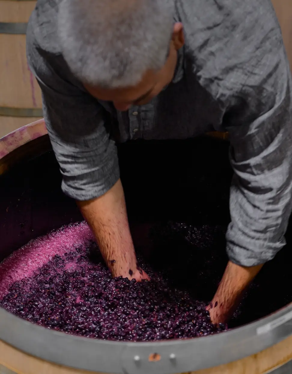 Preserving Each Appellation, Vineyard, and Variety At Every Stage