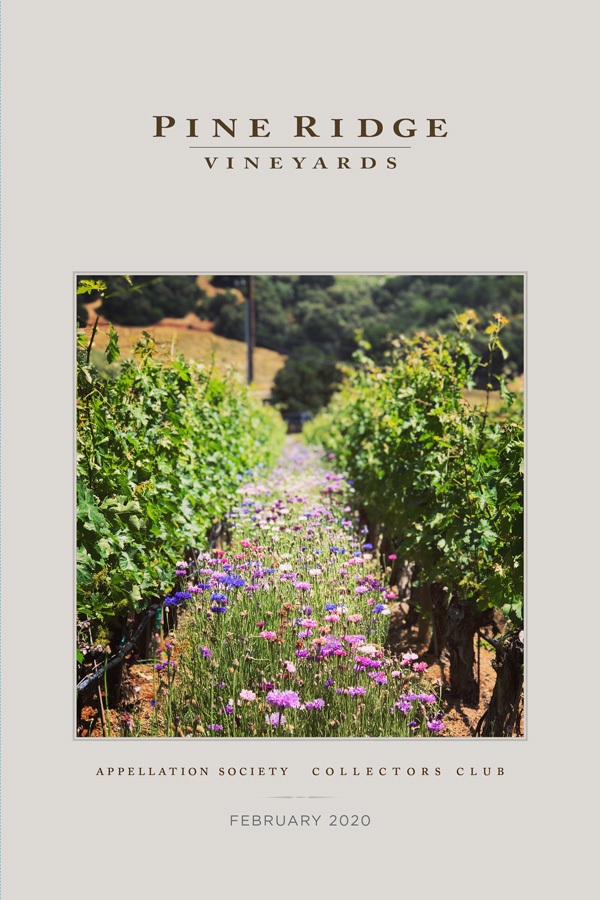 PRV-February-2020-Newsletter-cover_600x900