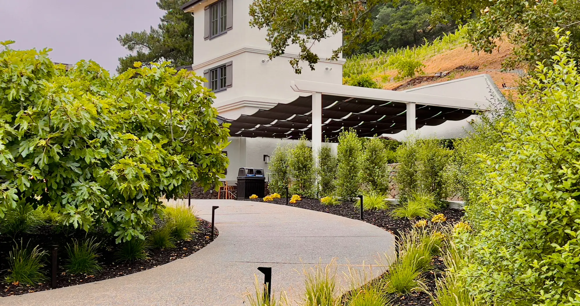 Pine Ridge Vineyards Showcases Cave Tours, Pet Friendly Options, and Hiking