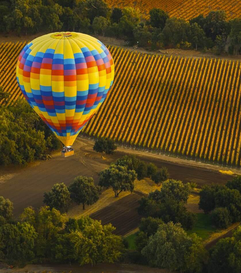 A colorful hot air balloon floats over a vineyard with rows of grapevines and scattered trees. The balloon features vertical stripes in blue, yellow, orange, red, and green, set against a background of lush, green and brown landscape.