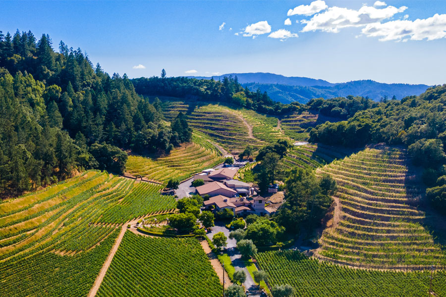 top napa wineries to visit 2022