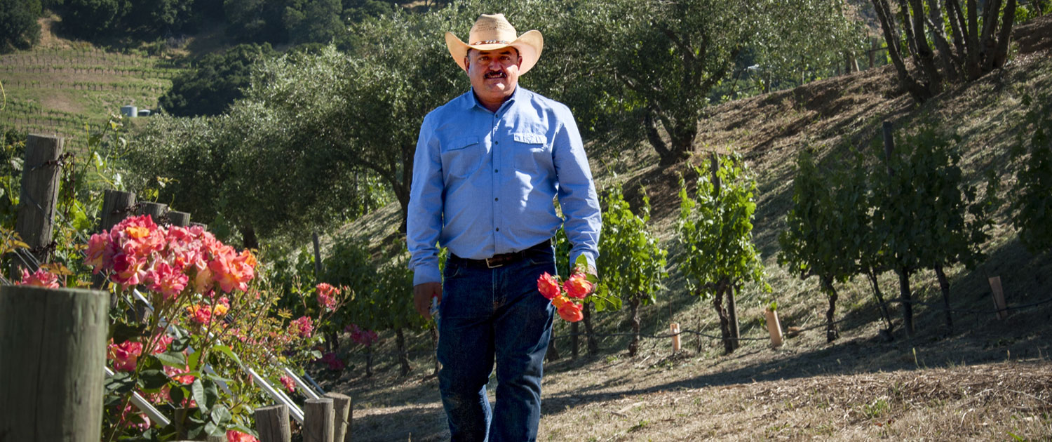 Viticulture Director Gustavo Aviña in the vineyards
