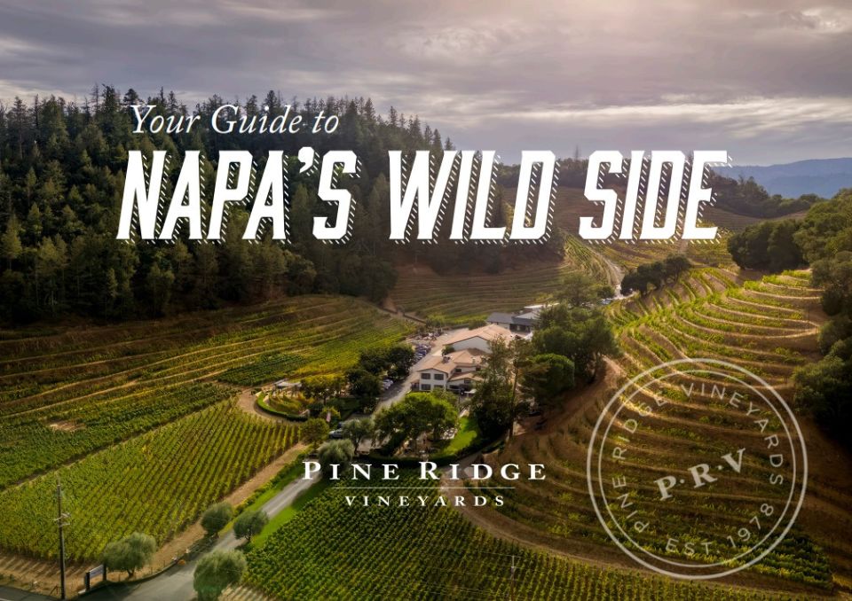 Napa Valley Wild Side Cover