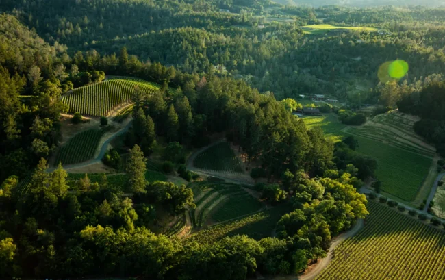 Pine Ridge Vineyards