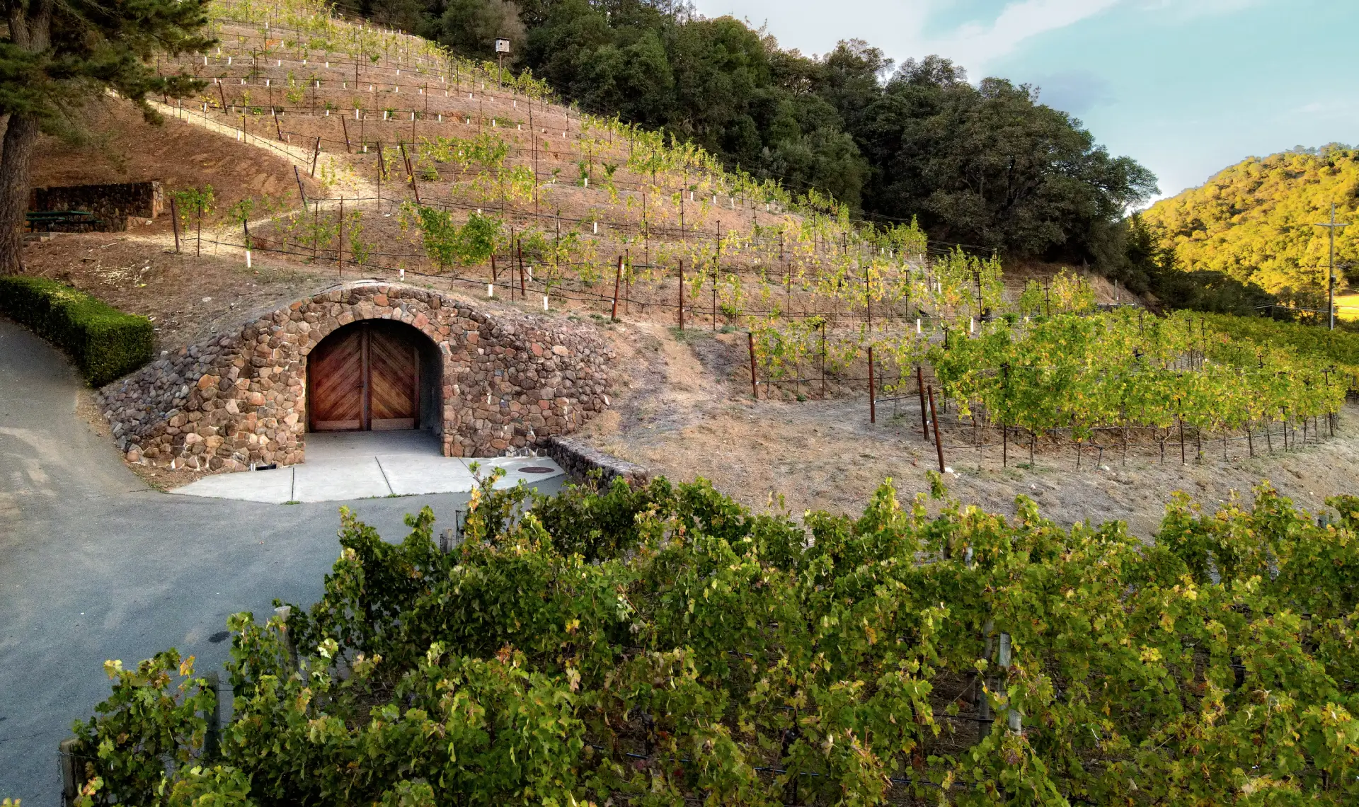 Escape to Napa Valley