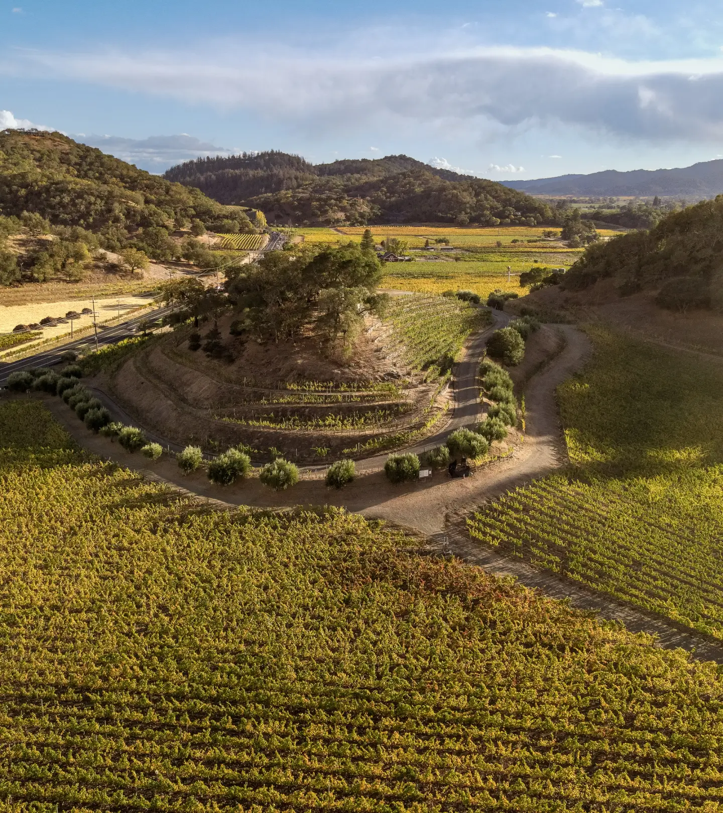 Explore Stags Leap District Wines