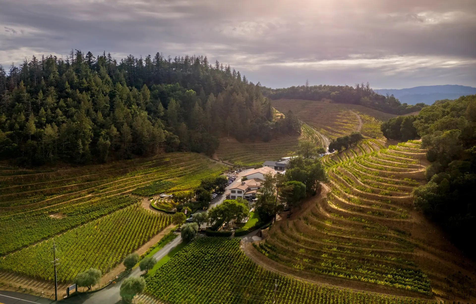 Pine Ridge Vineyards