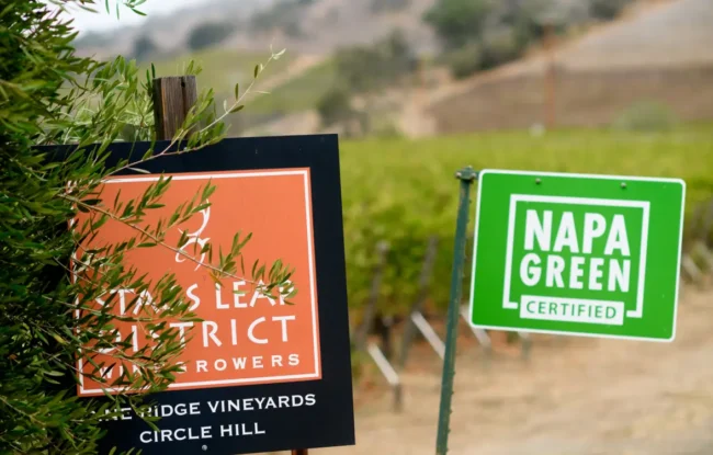 Generations of Sustainable Wine Making