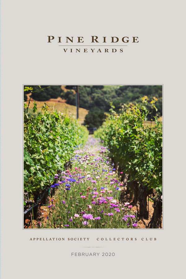 PRV-February-2020-Newsletter-cover_600x900