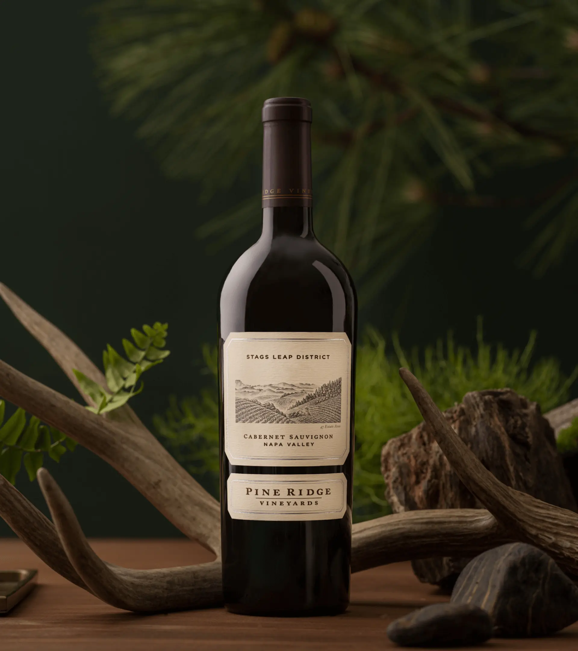 cab stags leap district