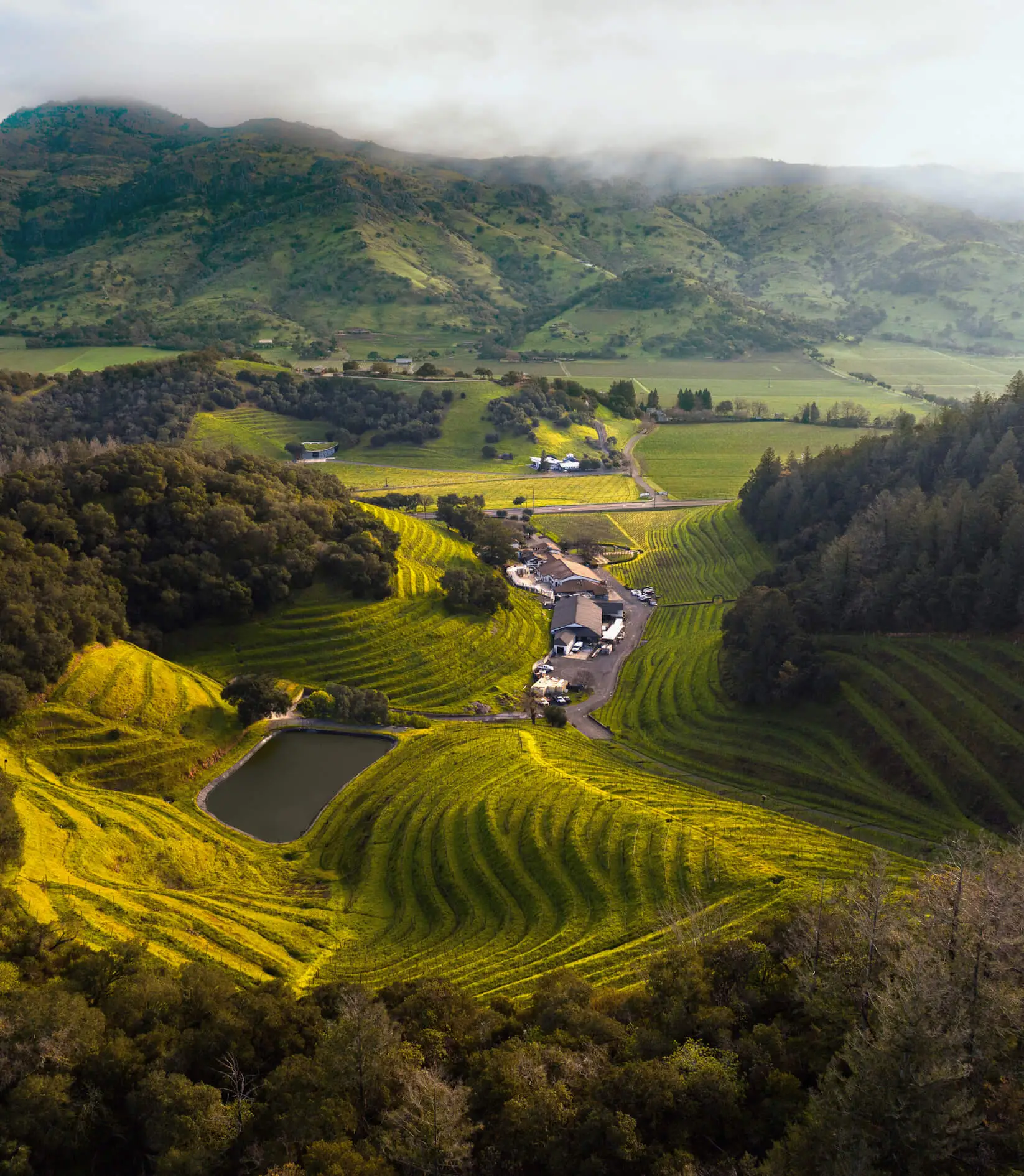 aerial view of pine ridge