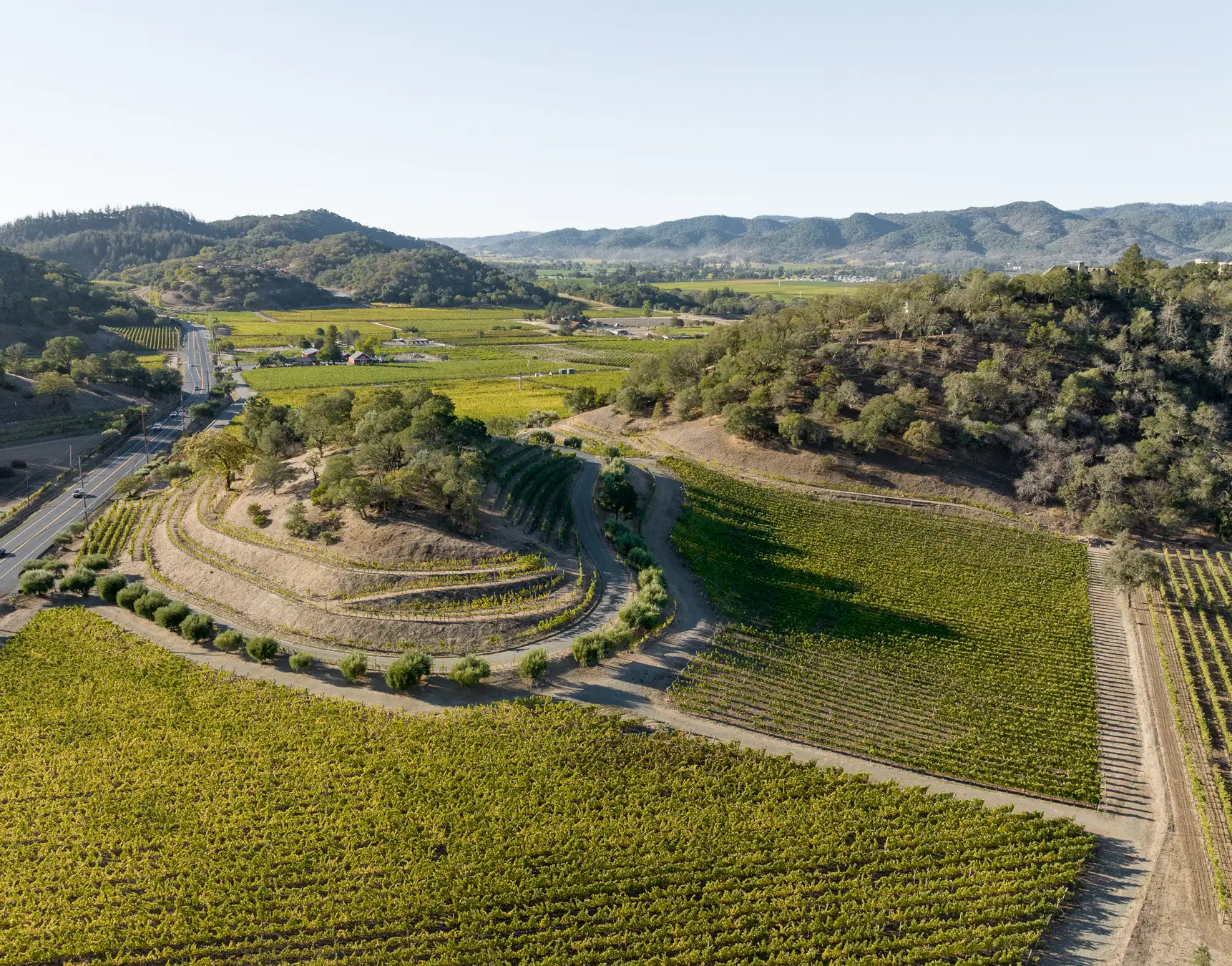 circle hill vineyard