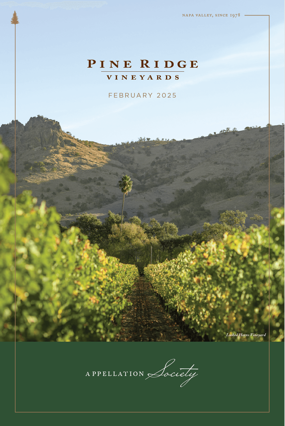 Feb 2025 Newsletter