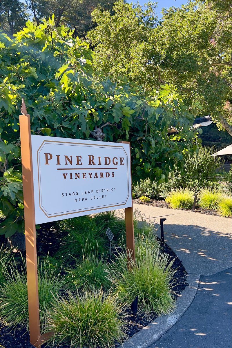 A rectangular sign with gold trim reads Pine Ridge Vineyards, Stags Leap District, Napa Valley. It stands amid green foliage and neatly trimmed grass, adjacent to a curved asphalt pathway on a sunny day.
