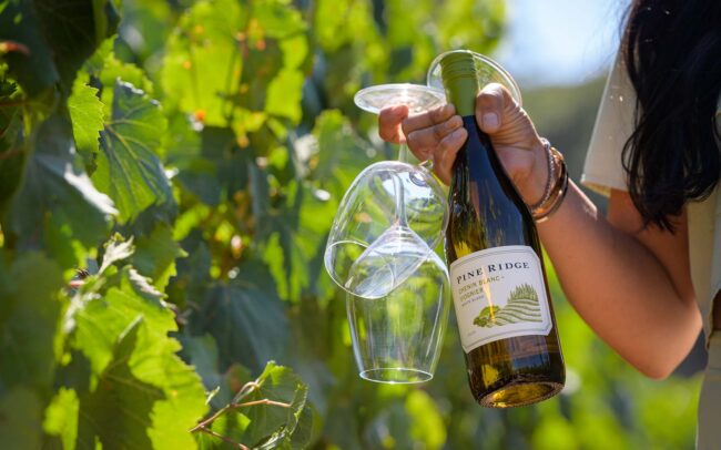 A person holding a bottle of Pine Ridge Chenin Blanc, one of the most refreshing white wines, and two clear wine glasses in a vineyard, surrounded by green grapevine leaves.