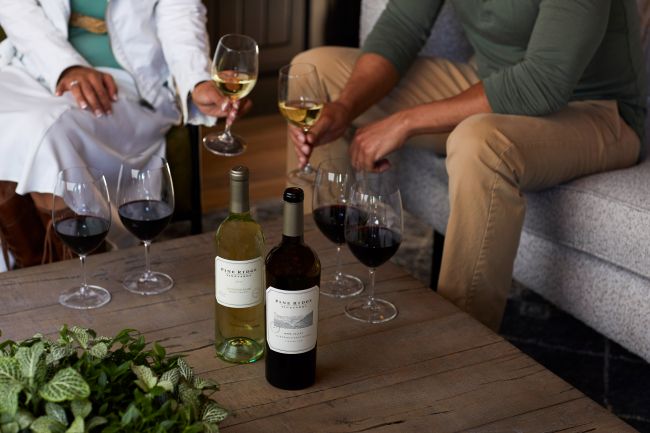 Two people sit on a couch and clink wine glasses over a wooden table holding two bottles of wine and four glasses, with a green plant in the foreground.