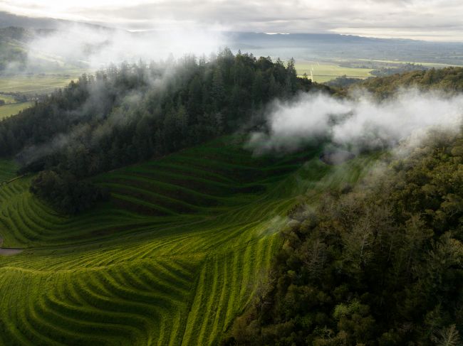 Aerial view of green terraced fields and forested hills with low clouds or mist covering parts of the landscape under a cloudy sky.