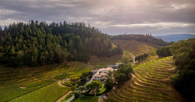 Aerial view of a vineyard with terraced rows on rolling hills, surrounded by dense forest. A group of buildings is located at the base of the hills under a cloudy sky with sunlight breaking through.