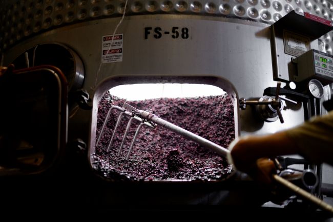 A person uses a tool to stir or move crushed grapes inside a large metal fermentation tank labeled FS-58, during a winemaking process.