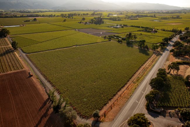 Aerial view of a large vineyard bordered by roads, with fields and farmland stretching into the distance under a hazy sky. A few buildings and trees are scattered across the landscape.