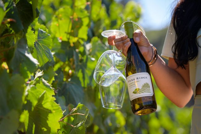 A person holds a bottle of Pine Ridge white wine and two plastic wine glasses in one hand, standing next to green grapevines in a vineyard.