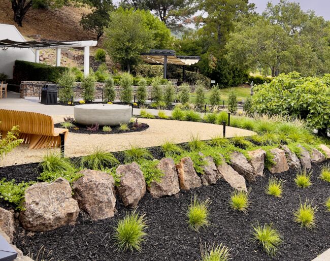 A landscaped garden with a curved row of rocks, mulch, and ornamental grasses in the foreground, a circular concrete bench, gravel paths, and a pergola with climbing plants in the background.