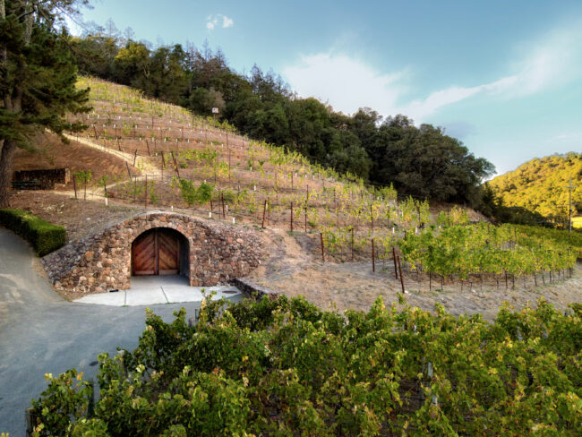 A hillside vineyard with rows of grapevines on a slope. At the base of the hill is a stone winery or wine cave entrance with wooden doors. Trees and brush surround the area under a clear sky.
