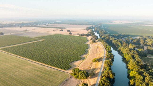 Aerial view of farmland with rows of crops, a winding river bordered by trees, and open fields extending into the distance under a clear sky.